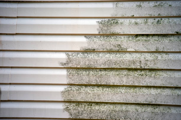 Best Custom Siding Design  in Stanhope, NJ