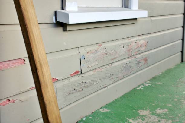 Best Siding Painting and Refinishing  in Stanhope, NJ